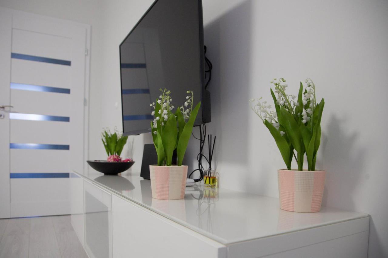 Apartament Wroclaw Borowska Exterior photo